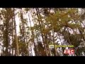 ethiopian documentary the new potential crop ethiopian teff becomes popular