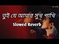 tui je amar sukh pakhi 👫 slowed reverb তুই যে আমার সুখ পাখি ❤ bangla song 🎵