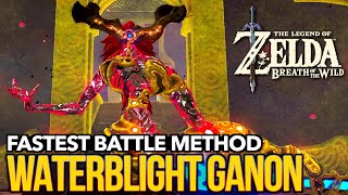The EASIEST & FASTEST Way to Defeat Waterblight Ganon in Zelda Breath of the Wild