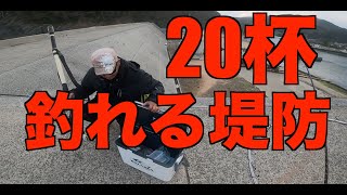 【人生詰んだ】車中泊日本一周釣りの旅20日目。イカ20杯釣れる漁港。マナーを守って釣りしましょう【残り２１日】