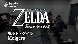 ゼルダの伝説  風のタクト　モルド・ゲイラ / The Legend of Zelda: The Wind Waker　Molgera