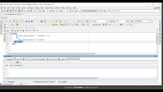 10 PLSQL Delmiters