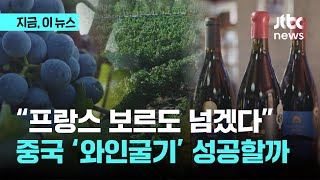 모래 캐던 황무지가 '와인 1번지'로 천지개벽…\