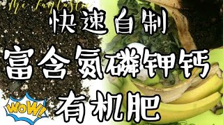 自制富含氮磷钾钙的有机肥料-适合所有植物