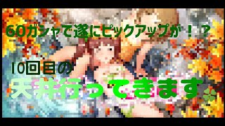 【デレステ】納税メモリアル ～そして天井へ～