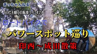 【60代夫婦の自転車ライフ#25】樹齢1400年の大杉が凄かった！印西〜成田散策