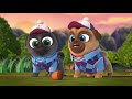 Bingo and Rolly Mini Golf ⛳  Puppy Dog Pals  Disney Junior