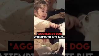 This Toddler Proves Her Dog is Friendly ❤️ #shorts