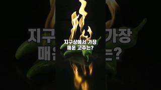 지구상에서 가장 매운 고추는?