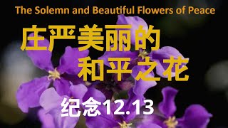 一起播种紫金花：美丽与庄重的永恒交响 |A Sight Unseen；A Touch Unfelt | The Solemn and Beautiful Flowers of Peace| ECSW