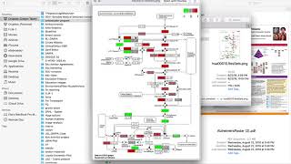 Gene Set Enrichment Analysis: Human Gage on T BioInfo