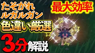 【ポケモンSV】最大効率のたそがれルガルガン色違い厳選について解説します【ポケモンスカーレット・バイオレット】