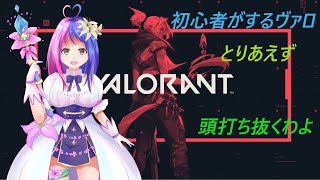 【VALORANT】一緒に遊ぼうよ🎵初見さん＆初心者さん大歓迎！！参加型【Vtuber]