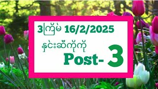 3ကြိမ် 16/2/2025 နှင်းဆီကိုကို Post-3