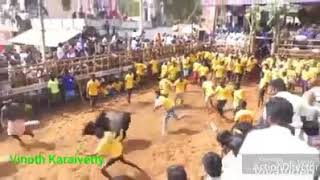 Killukkottai jallikattu nayagan