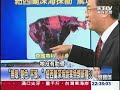 【關鍵時刻2200】神秘怪客鏟齒喙鯨 140年來首度現屍紐西蘭海岸1011108