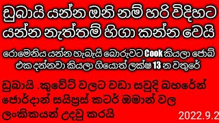 ඩුබායි යන්න ඔනි නම් හරි විදිහට යන්න නැත්තම් හිගා කන්න වෙයි .ලංකිකයන් රැකියා සදහා ගොස් හිගා කායි