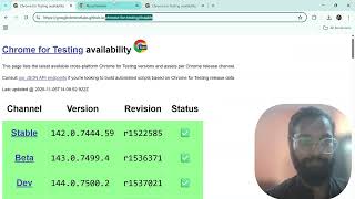 How to Download Google ChromeDriver (Latest 2027 Update) for Selenium Python | Step-by-Step Guide