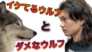 失敗しない為に！ウルフの大事な事！！