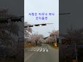 사랑은 아무나 하나 전자올겐