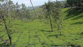 450m Zipline, Pozhuthana - Wayanad