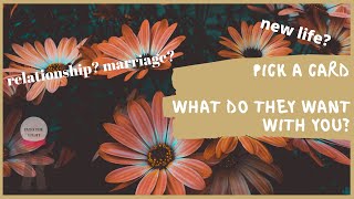 💗PICK A CARD | WHAT DO THEY WANT WITH YOU?💗