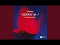 24 Caprices, Op. 1: No. 3 in E Minor, Sostenuto