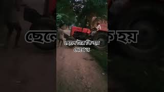 ছেলেটার কত সাহস