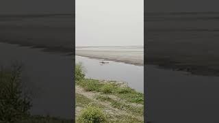 #natureyoutubeshort#DisangBrahmaputra