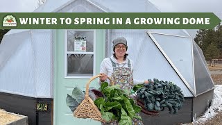 How to Transition A Greenhouse from Winter to Spring