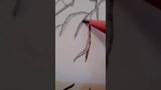 A human heart structure drawing subscribe please