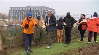 Burial ceremony held to honor unclaimed remains of 50 unhoused people
