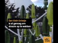 Deze windmolens wil je wél in je tuin