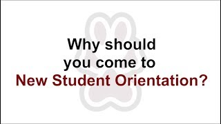Benefits of New Student Orientation: Teaser
