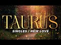 TAURUS (Singles) - Great Week For Flirting / Dating, But Don't Fall In Love Yet | NOV10-16