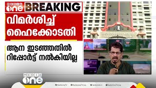 കോടതി പറഞ്ഞ കാര്യം ചെയ്യാനാവില്ലേ? നേർച്ചക്കിടെ ആന ഇടഞ്ഞതിൽ  കലക്ടർക്ക് ഹൈക്കോടതി വിമർശനം