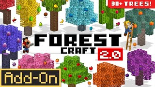 FOREST CRAFT 2.0 ADDON 13 NEW Trees, Wood, Food added to Minecraft Bedrock Edition