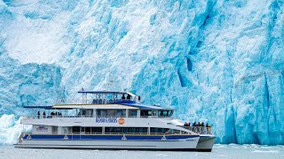 Kenai Fjords 360 - Glacier \u0026 Wildlife Cruise in Kenai Fjords National Park with Major Marine Tours