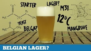 BELGIAN LAGER?