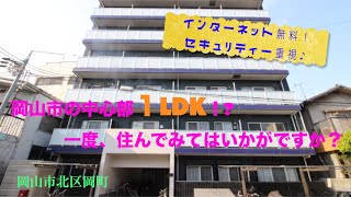 岡山市の中心部⁉︎一度、住んで見てはいかがでしょうか？１LDK物件のご紹介です。