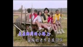 [卓依婷] 乡间的小路 - 校园民谣 (Official MV)