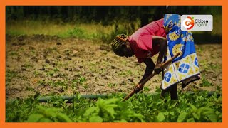 Women in Agriculture urge greater involvement of women in food systems