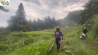 【2024年8月23日】棚田の草刈り日記