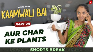 घर के नए Plants 🤣 |  Kaamwali Bai - Part 27 #Shorts #Shortsbreak #takeabreak