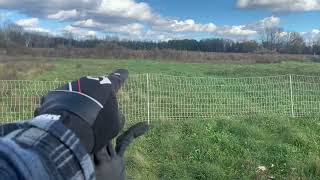 HUGE Geese PASTURE after a few days- PASTURED POULTRY