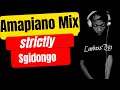 Amapiano Mix | Sgidongo | Lowbass Djy | Hotfurze | Nkulee501  Skroef28 | By Babza Da J #sgidongo