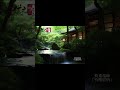 「竹紫絃明」 菊重精峰 shorts 三絃 箏 尺八 和楽器