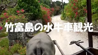 竹富島の水牛車観光＃沖縄＃竹富島＃石垣島