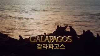 갈라파고스 3D: 천혜의 자연 환경 - 설명 문구 (Galapagos 3D) Korean | Official Trailer