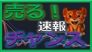 【仮想通貨ビットコイン今後】ここまで下げる！【移動平均線を使った仮想通貨チャート検証】